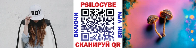 Купить  Красновишерск  Псилоцибиновые грибы мухоморы 